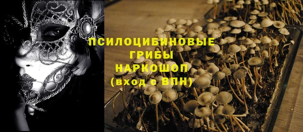 шишки Карпинск