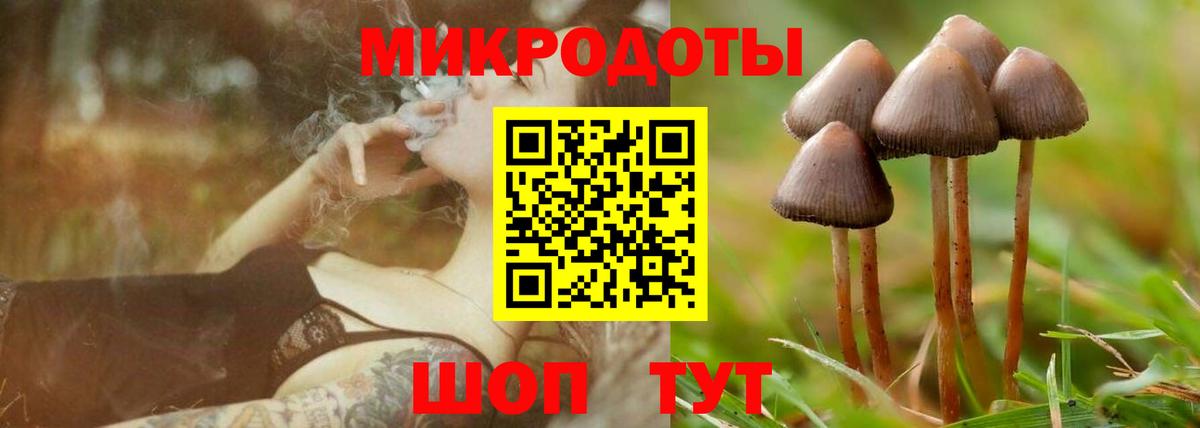 Киржач  купить закладку  Вход с VPN  Галлюциногенные грибы Cubensis 