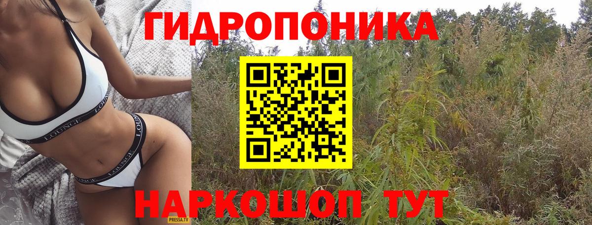 Каннабис Bruce Banner  Бошки марихуана SATIVA & INDICA  Киржач  Шишки марихуана гибрид  Вход с VPN 